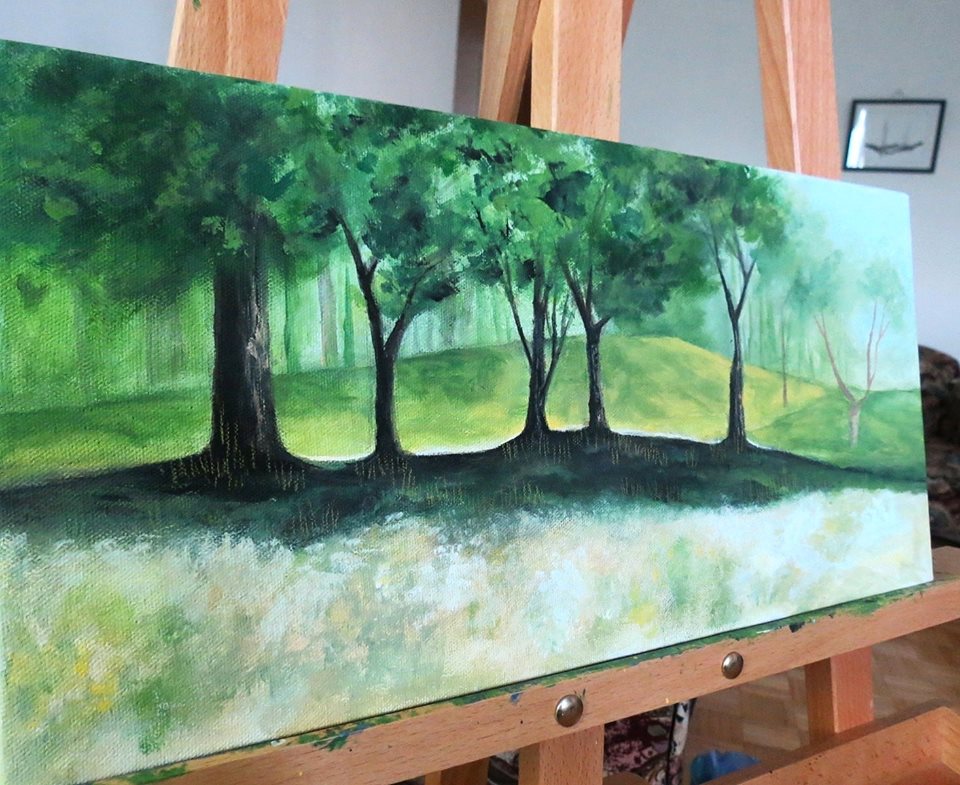 13901486_10157187609790035_6776588179104805864_n